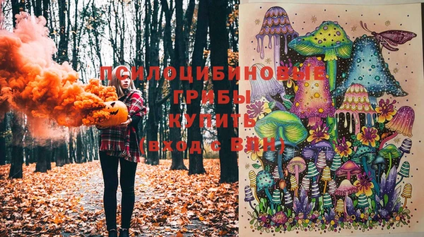 mdpv Великий Новгород